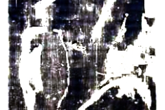 nereide-gimp