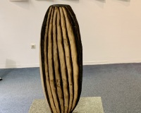 IMG_6713