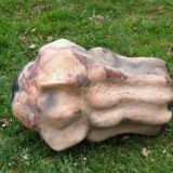 Foto-Sigrid-K.-Baumgaertner