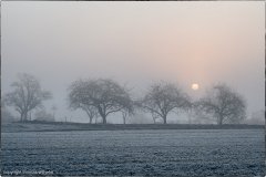 20170219_Sonntag_Morgen_018-Bearbeitet
