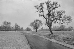 20180204_Wege_014
