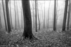 20181231_Heinich_008-Bearbeitet