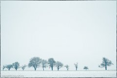 20210117_Muehlacker_003-Bearbeitet